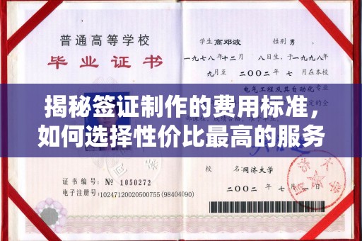 鸡东揭秘签证制作的费用标准，如何选择性价比最高的服务？