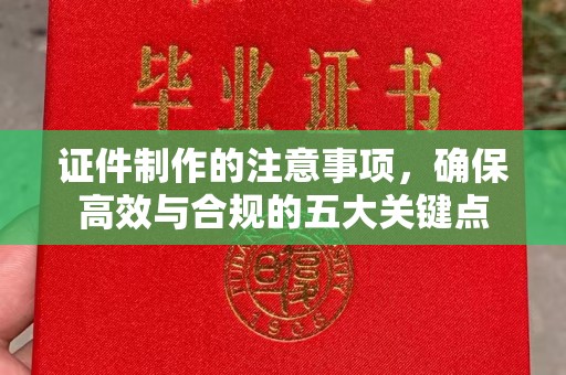 鸡东证件制作的注意事项，确保高效与合规的五大关键点